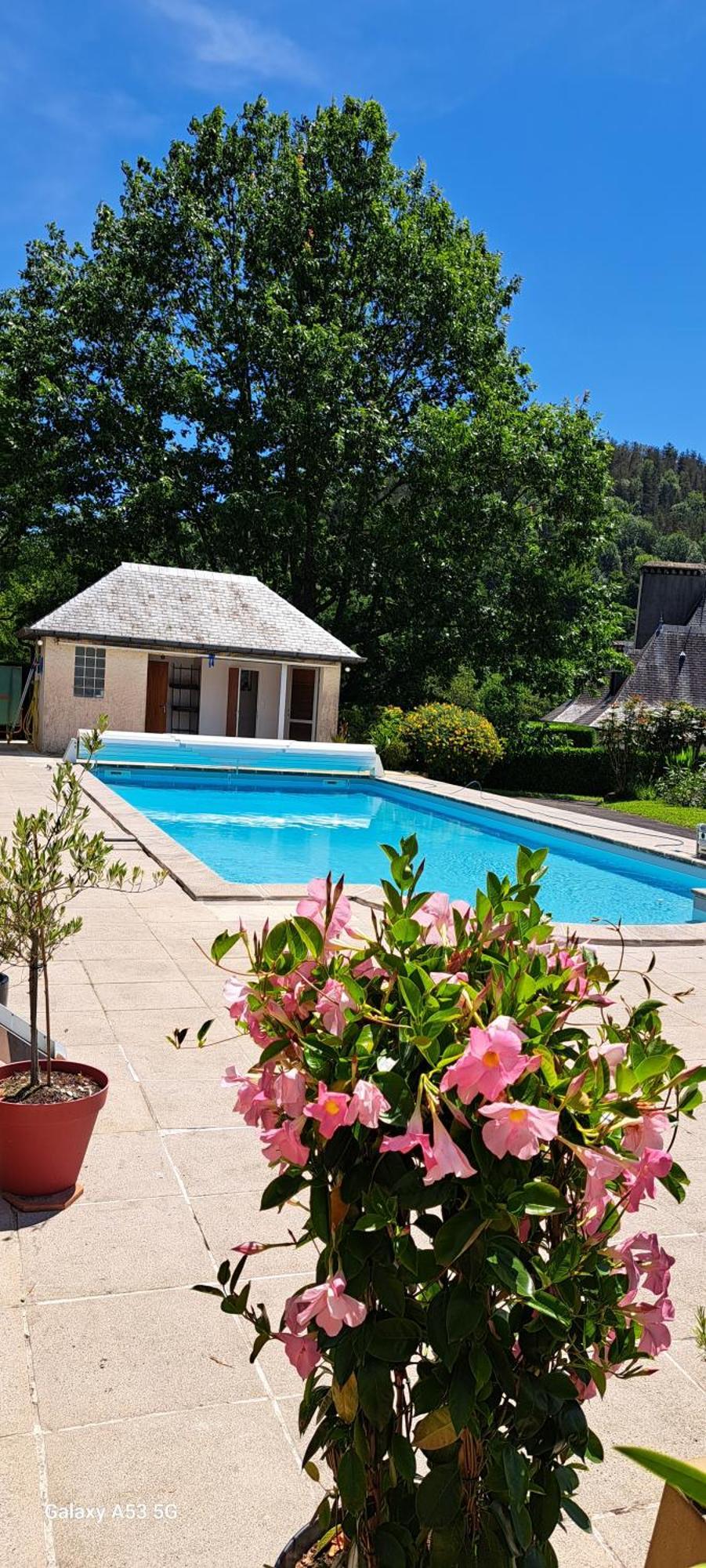 Jardin Des Chats Sevignacq-Meyracq Exterior photo
